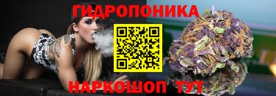 бошки Кимры